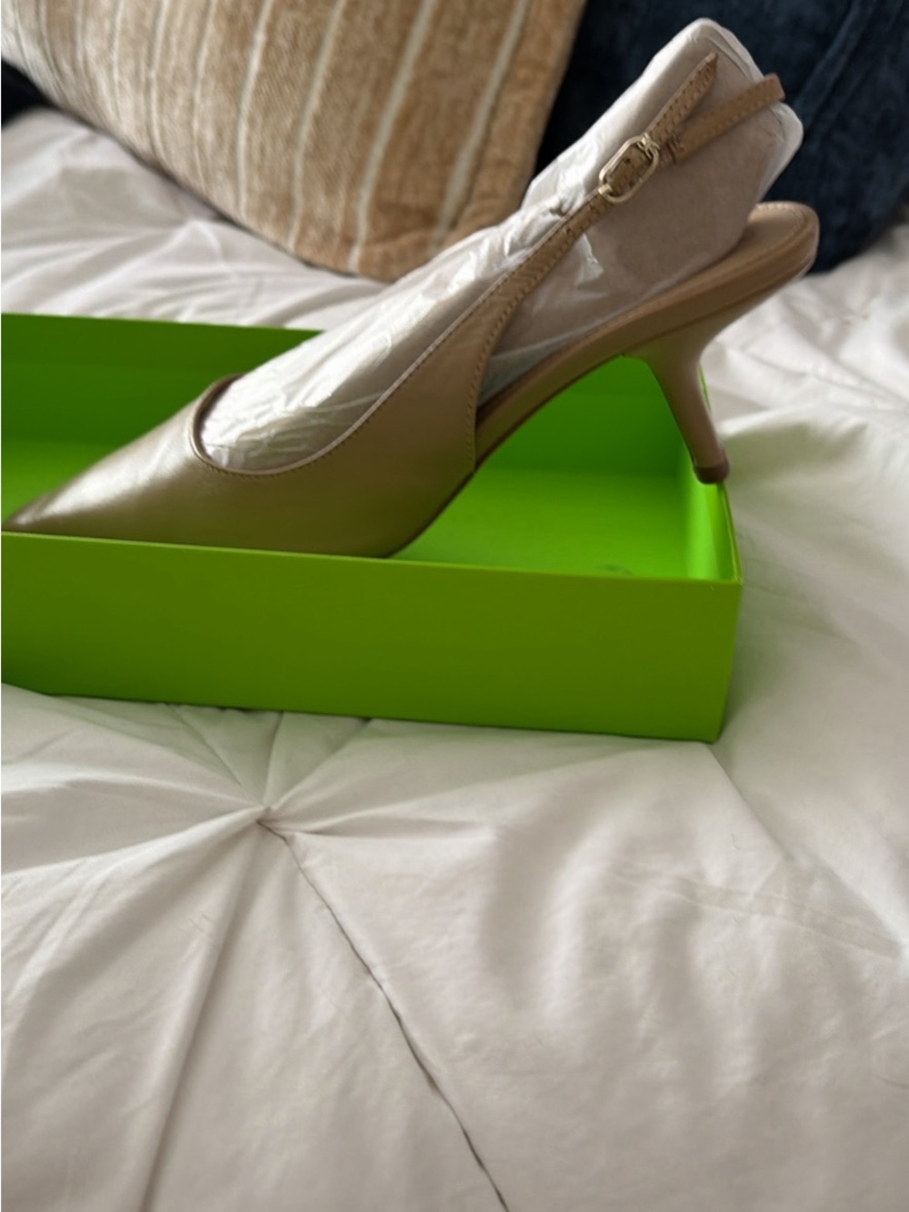 Sam Edelman Pointed Slingback Pump in Taupe